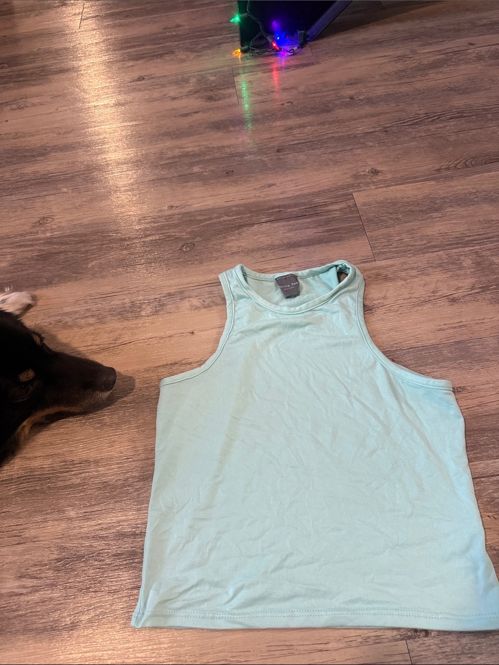 Olivia Rae Mint Green Crop Tank Top